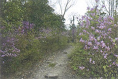 平田地区まちづくり協議会