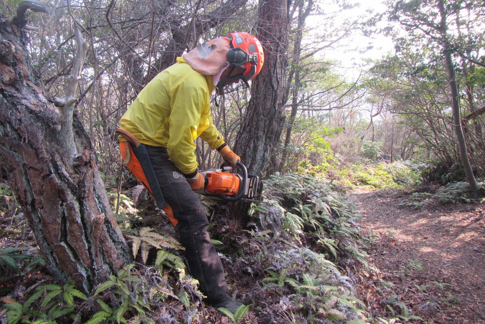 伊部区有林管理会