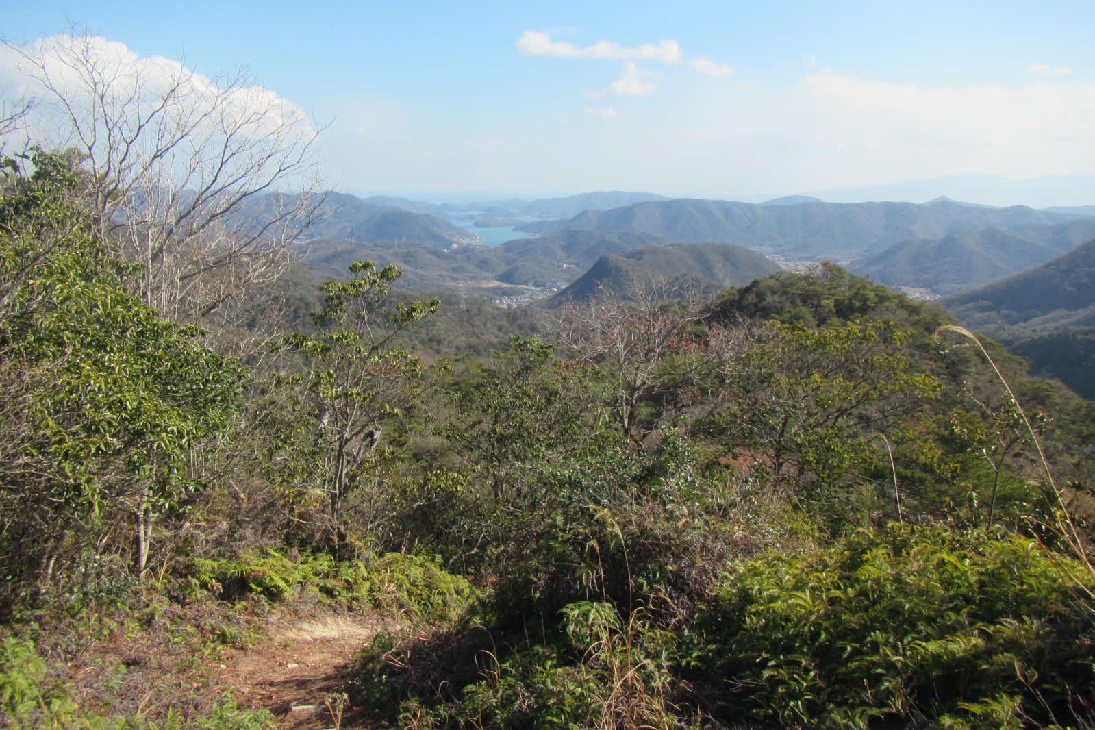 伊部区有林管理会